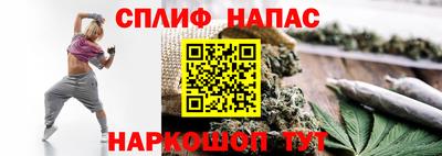 мдпв Аша