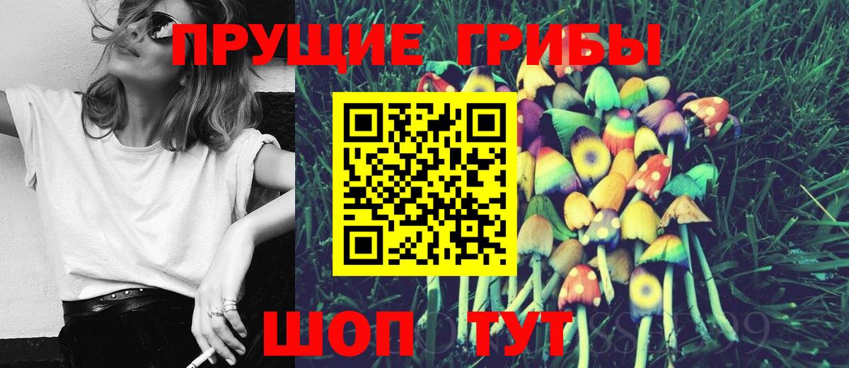 Псилоцибиновые грибы прущие грибы Воронеж