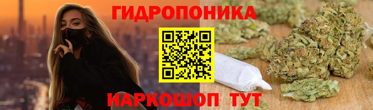 Шишки марихуана марихуана Воронеж